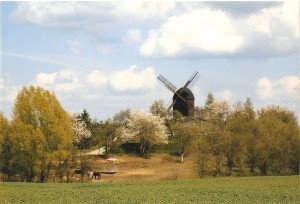 Badersleben